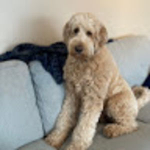 Meet your Posher, Cecilia